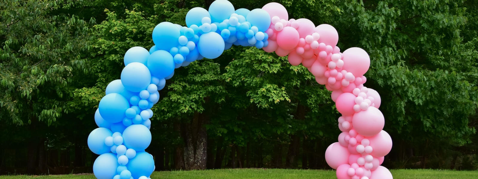 Balloon arches Wheaton IL