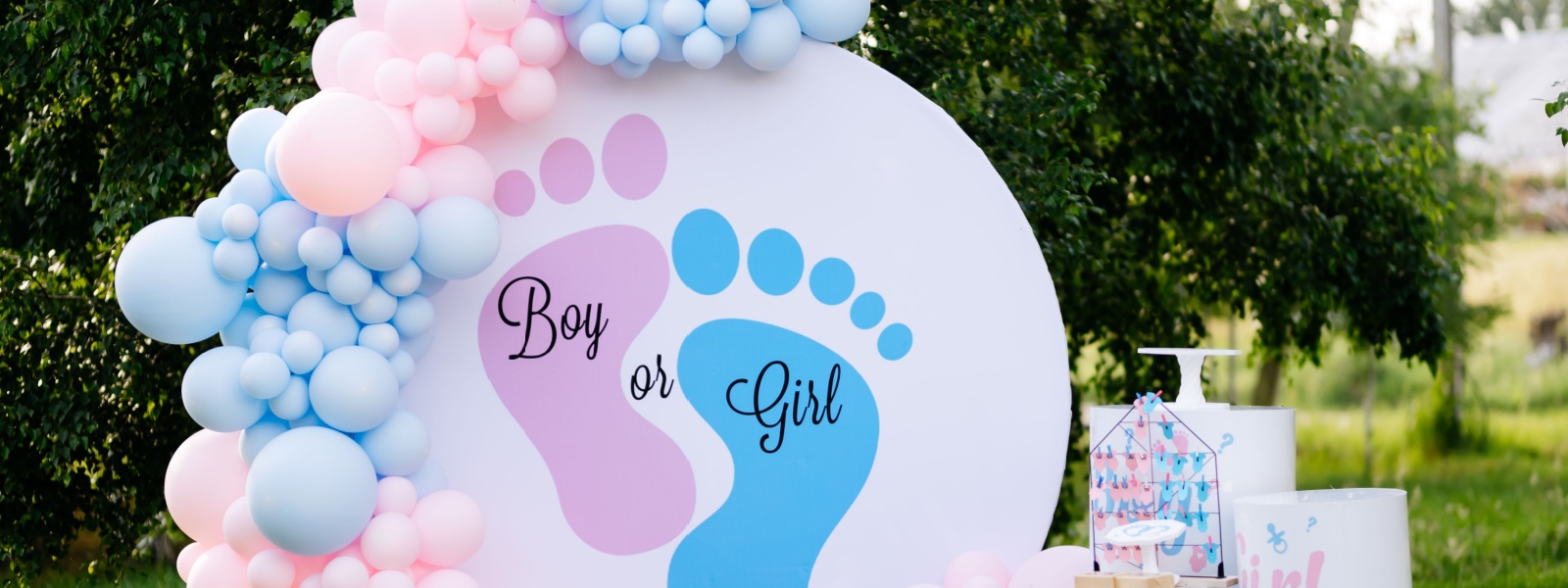 Custom balloon designs Glen Ellyn IL